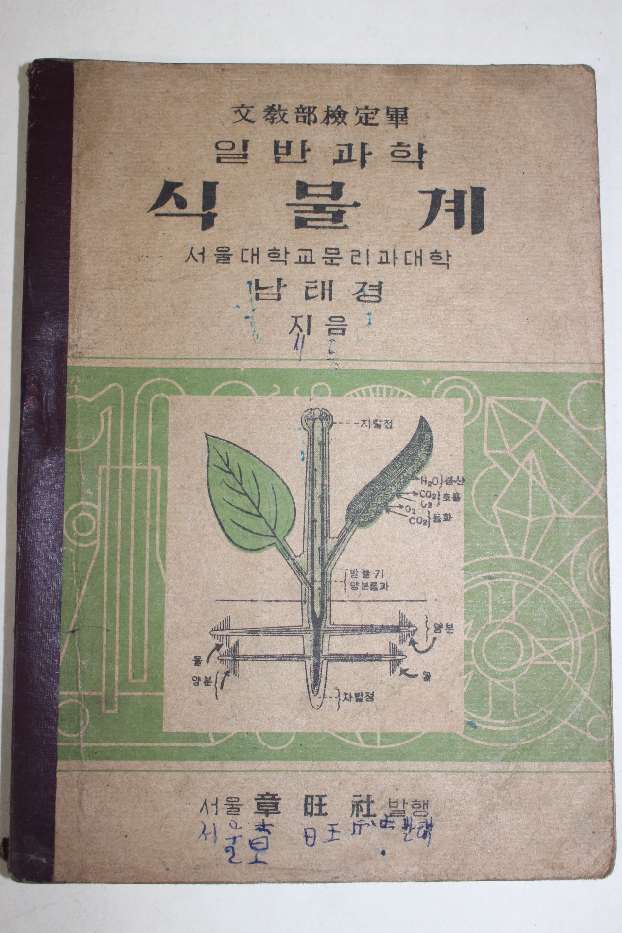 1954년 남태경 일반과학 식물계