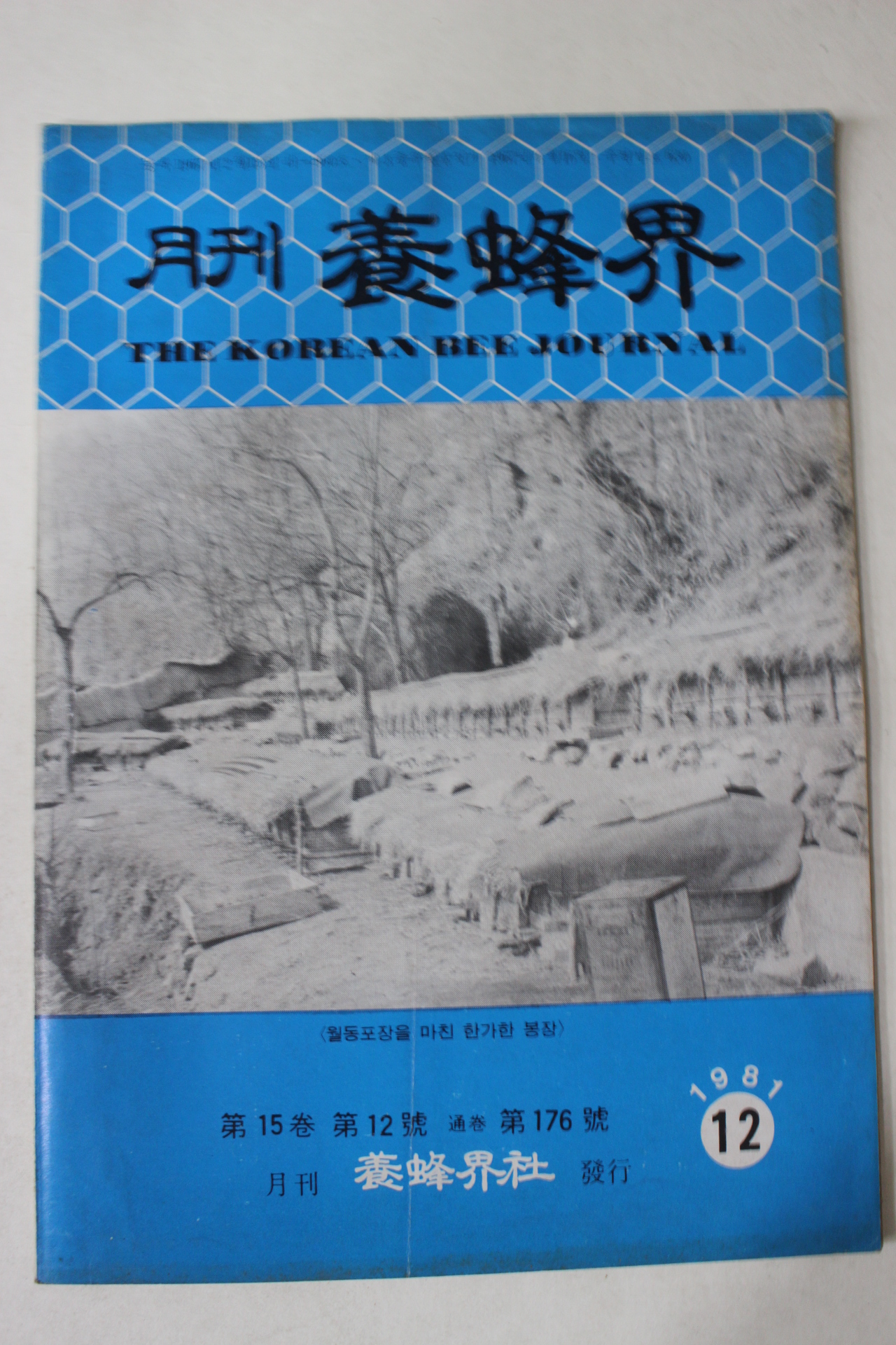 1981년 양봉계(養蜂界) 12월호