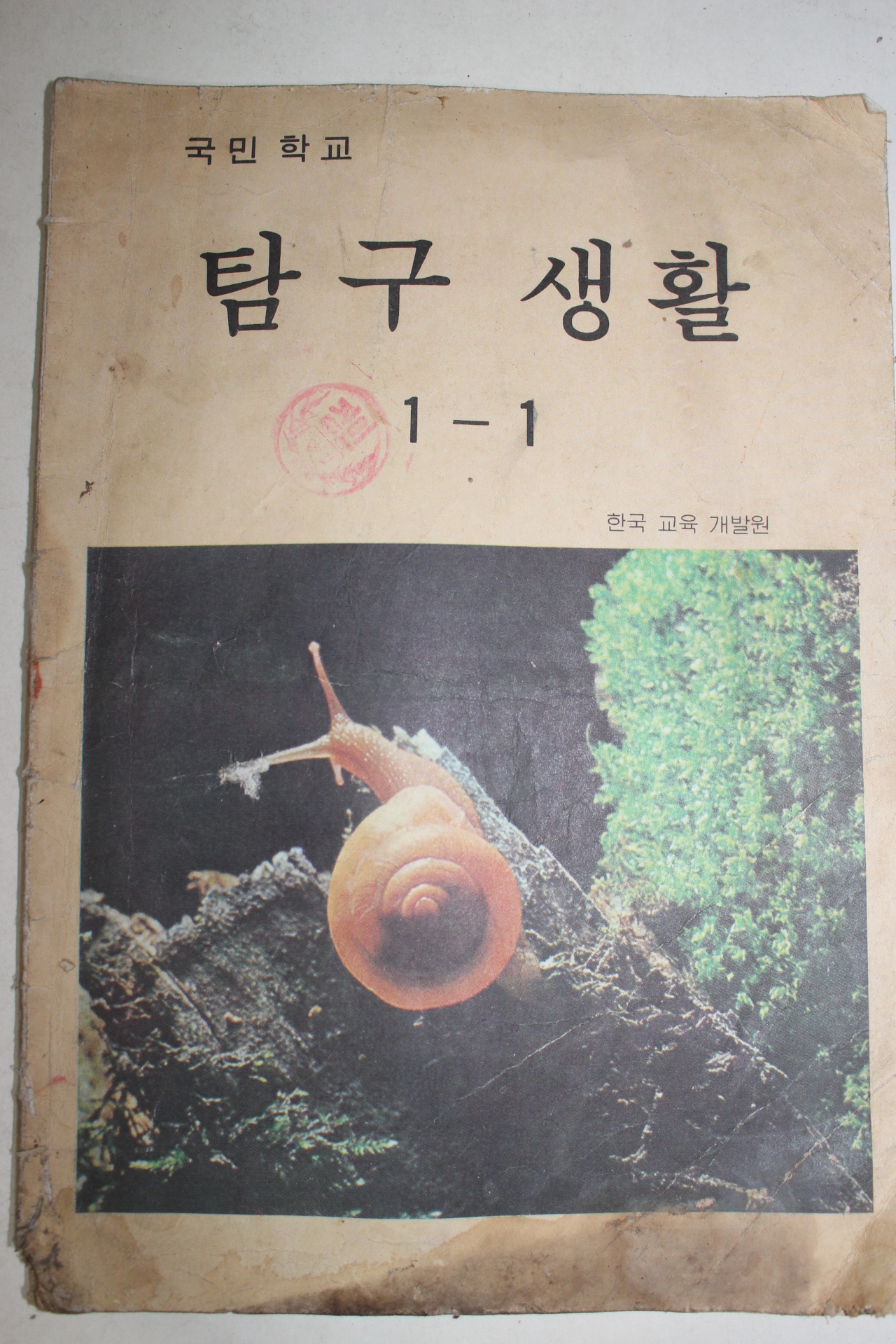 1981년 국민학교 탐구생활 1-1