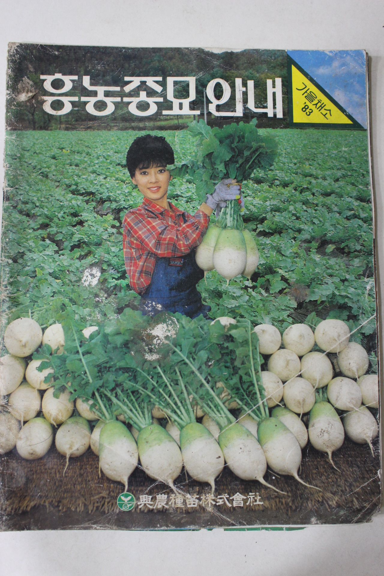 1983년 흥농종묘안내 가을채소(앞3장 낙장)