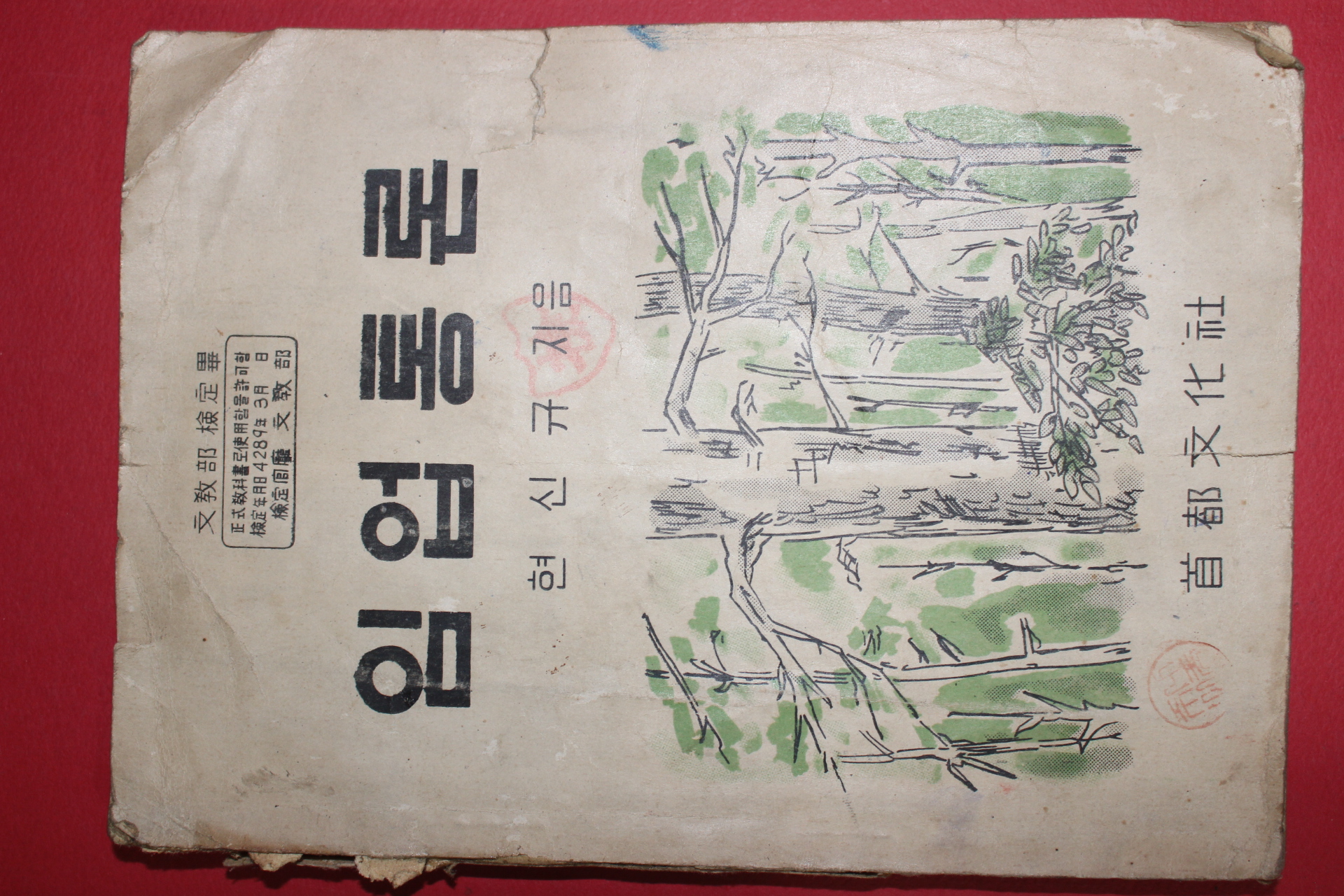 1956년 현신규 임업통론