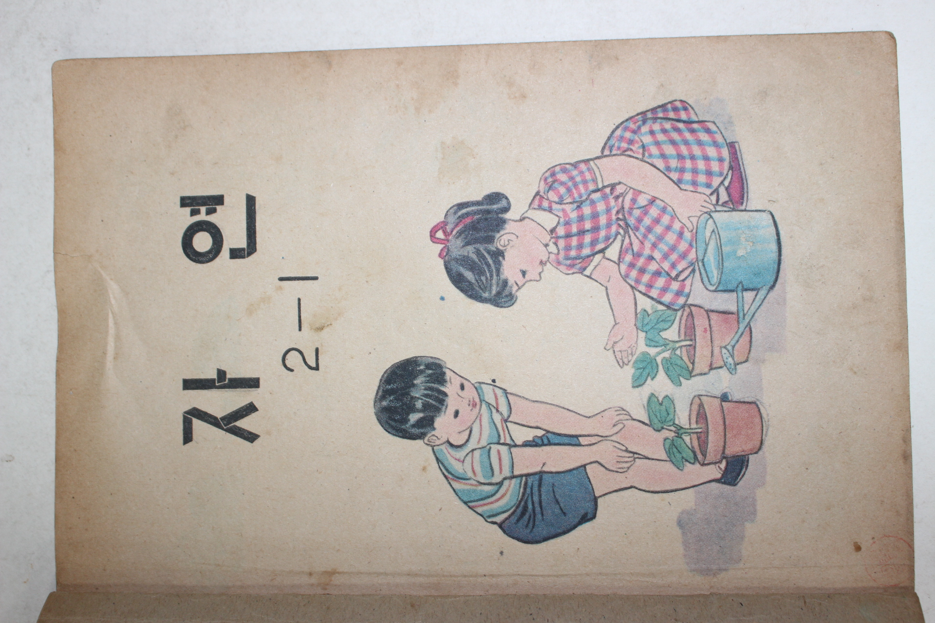 1971년 자연 2-1