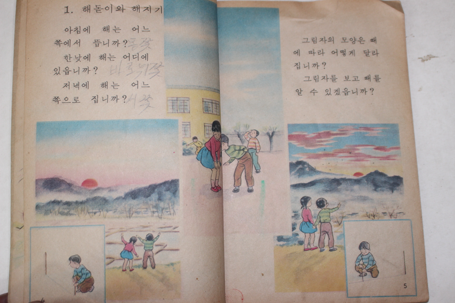 1971년 자연 2-1