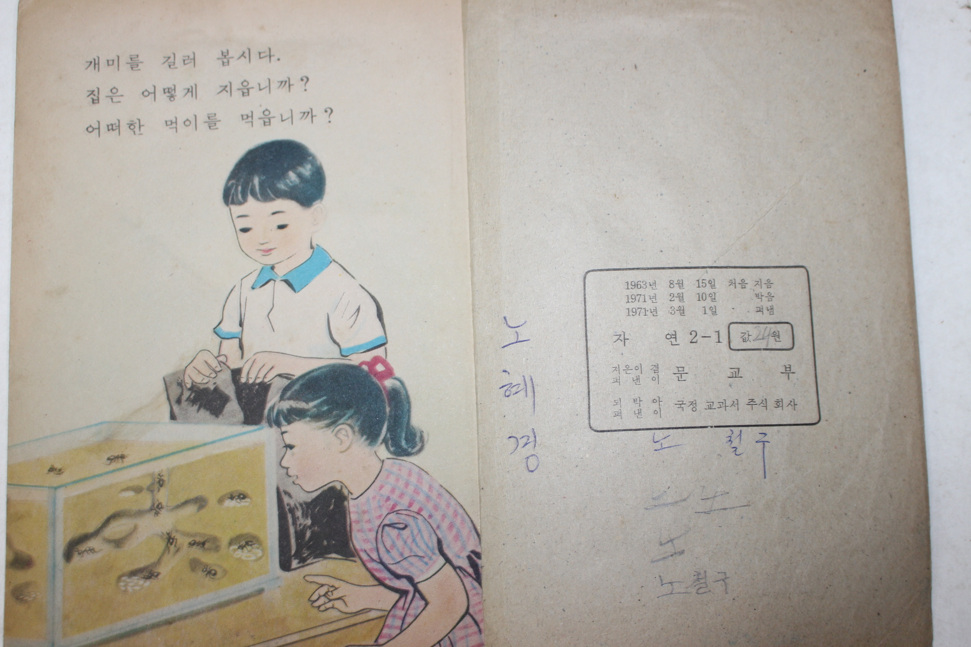 1971년 자연 2-1