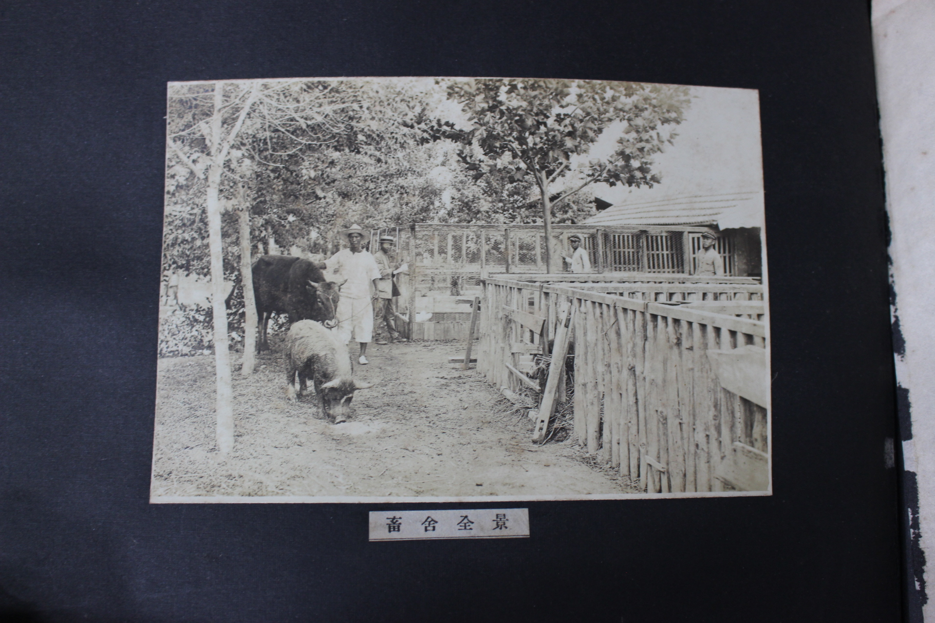 1932년 밀양공립농잠학교 제6회 졸업기념사진첩(추가사진)