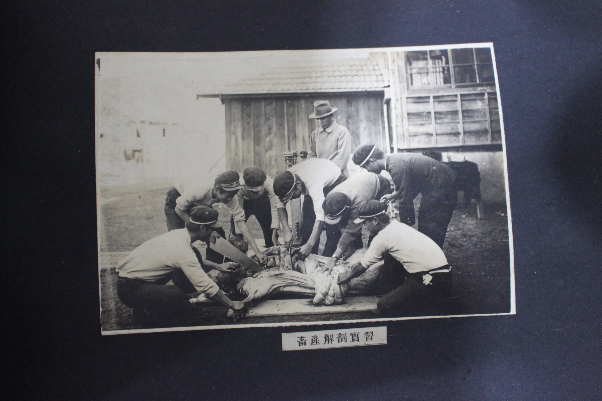 1932년 밀양공립농잠학교 제6회 졸업기념사진첩(추가사진)