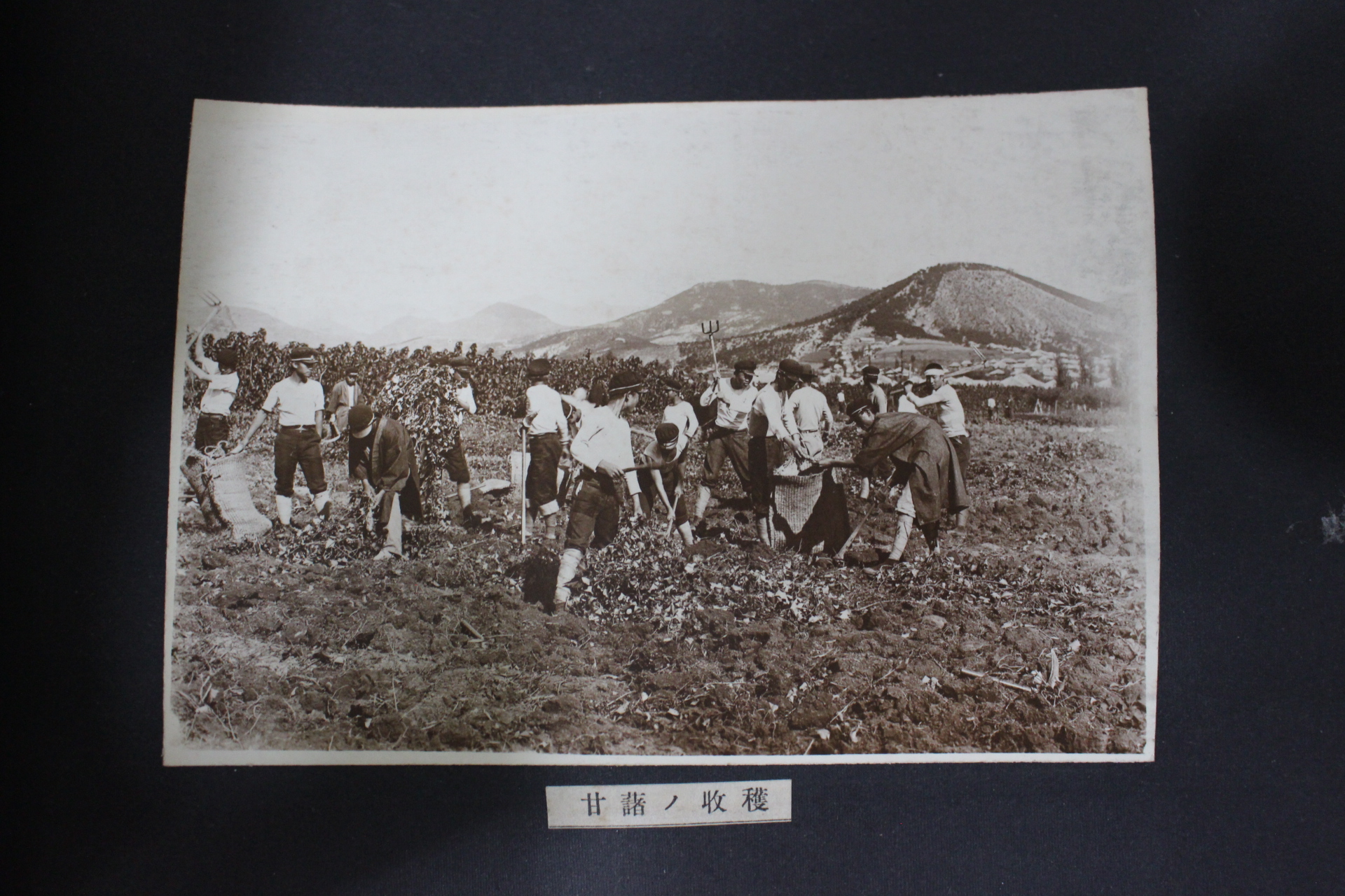 1932년 밀양공립농잠학교 제6회 졸업기념사진첩(추가사진)