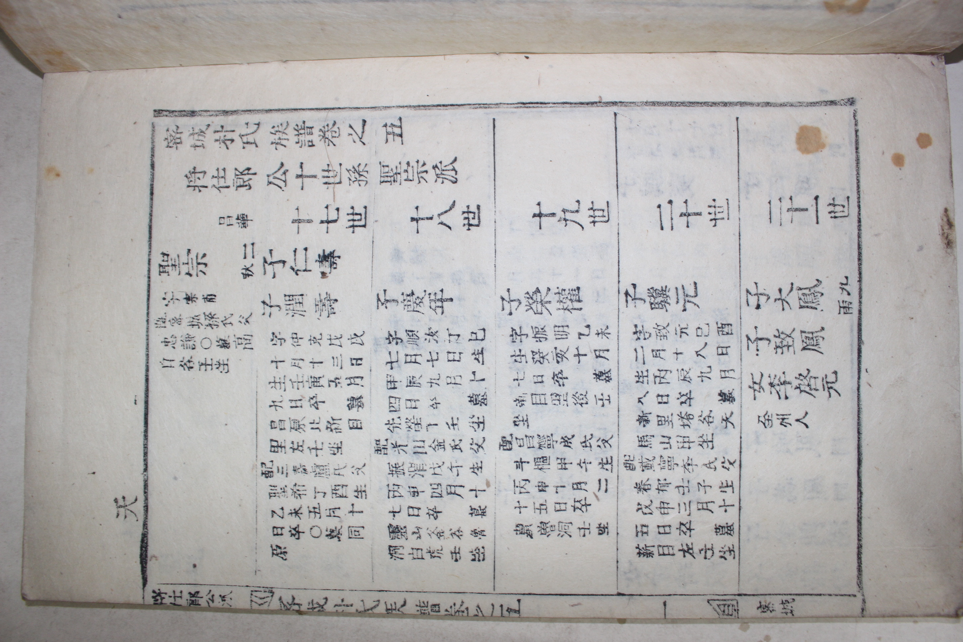 1899년(己亥譜) 목활자본 밀성박씨족보(密城朴氏族譜) 6책