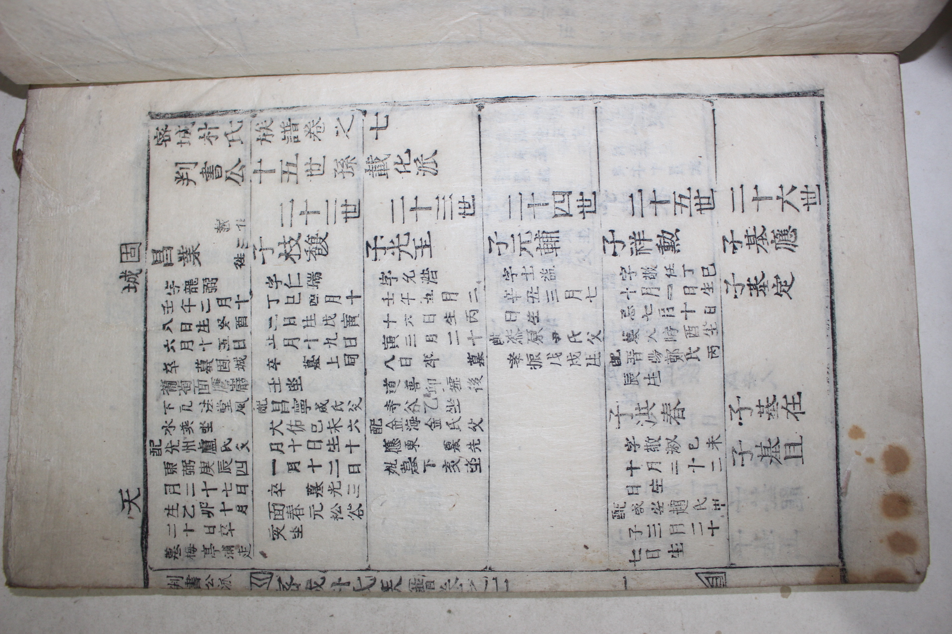 1899년(己亥譜) 목활자본 밀성박씨족보(密城朴氏族譜) 6책