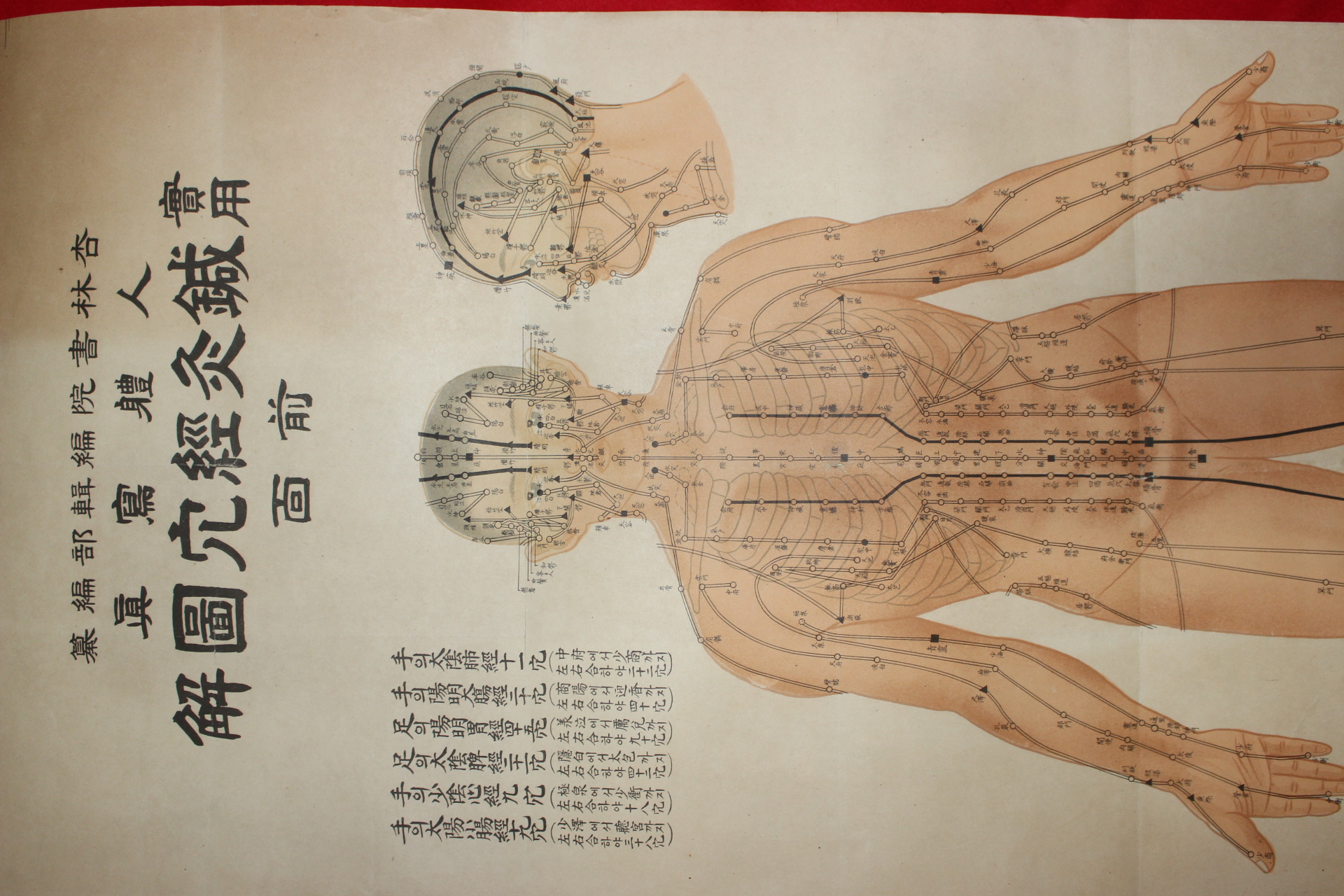 1955년 행림서원간행 대형크기의 침구경혈도해 2장