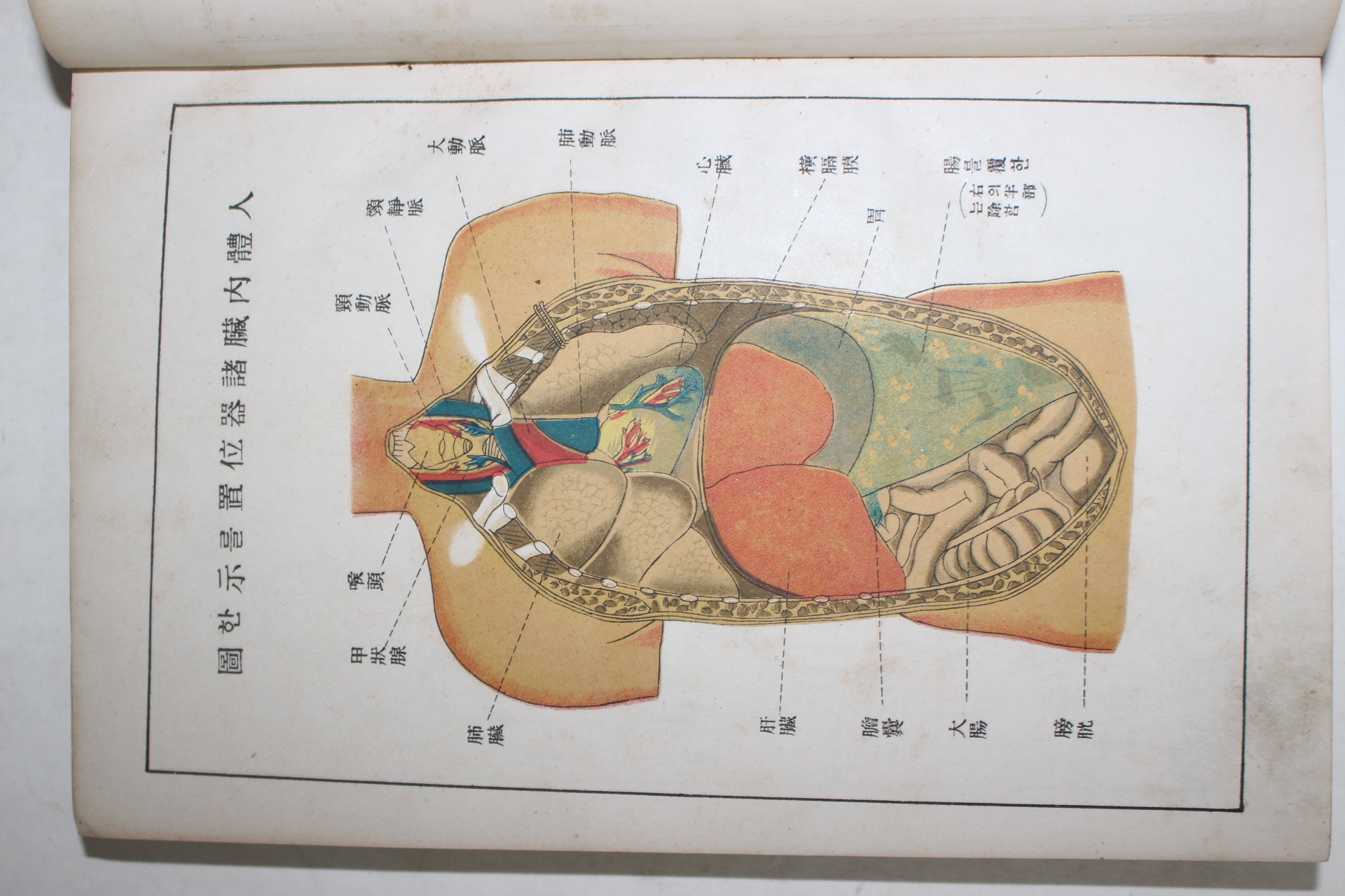 1928년(소화3년) 경성간행 신증 신의학요감(新醫學要鑑)