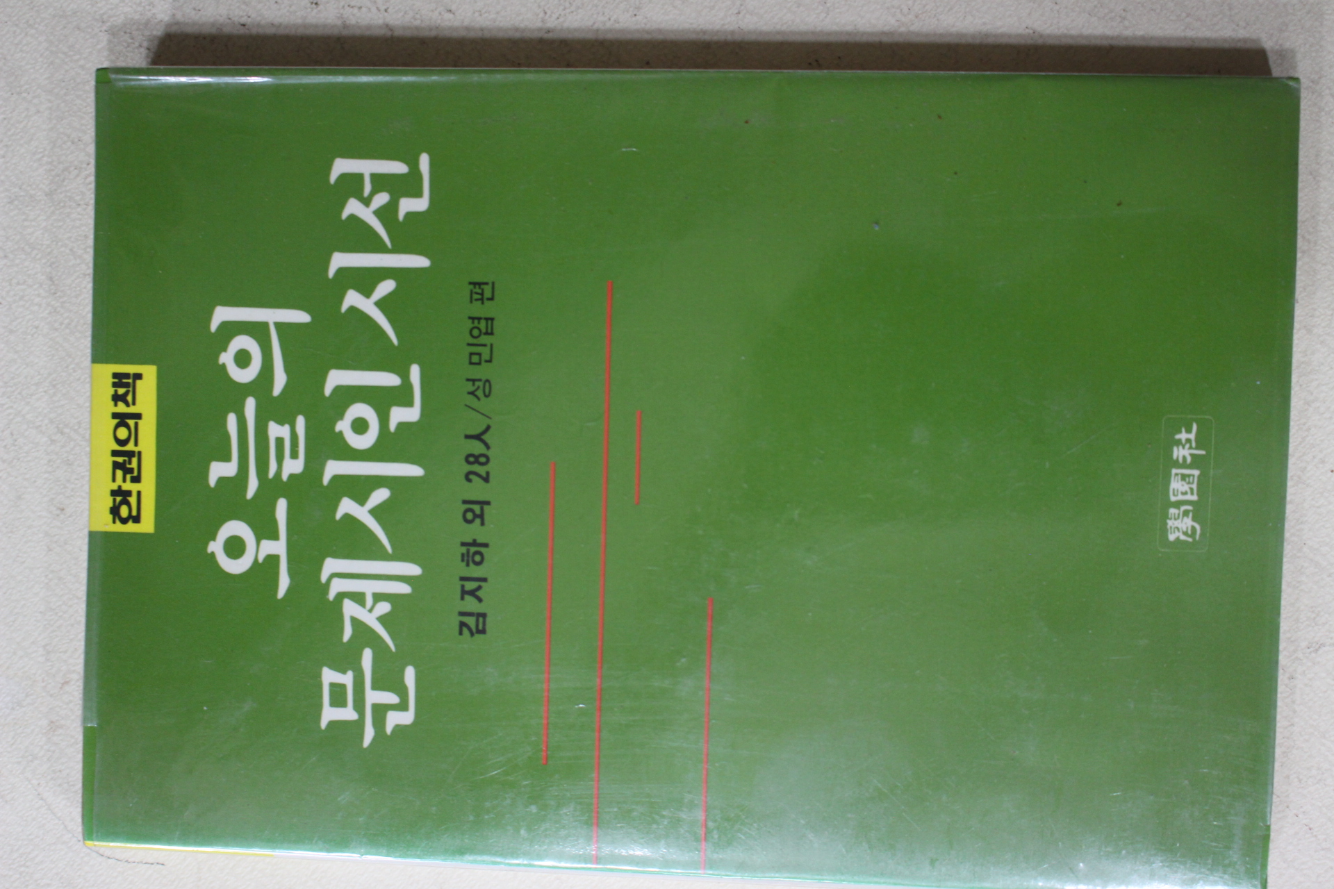 1989년 김지하 외 28인 오늘의 문제시인시선