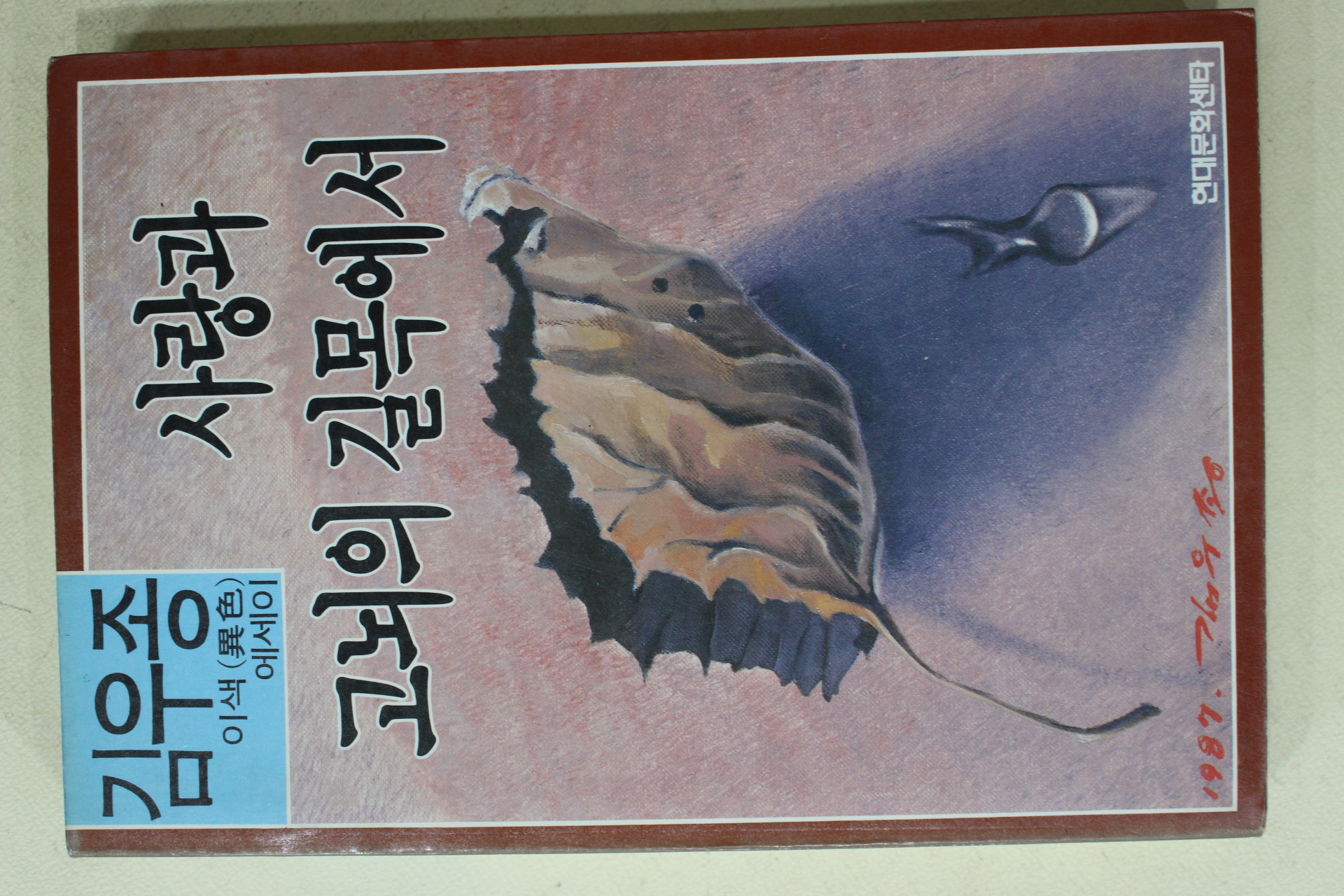 1988년초판 김우종 이색에세이 사랑과 고뇌의 길목에서