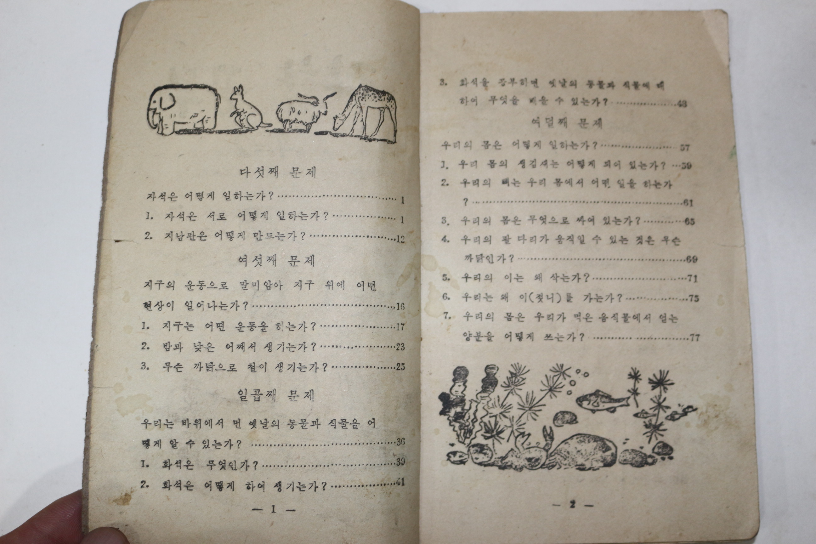 1954년 운끄라 과학공부 4-2