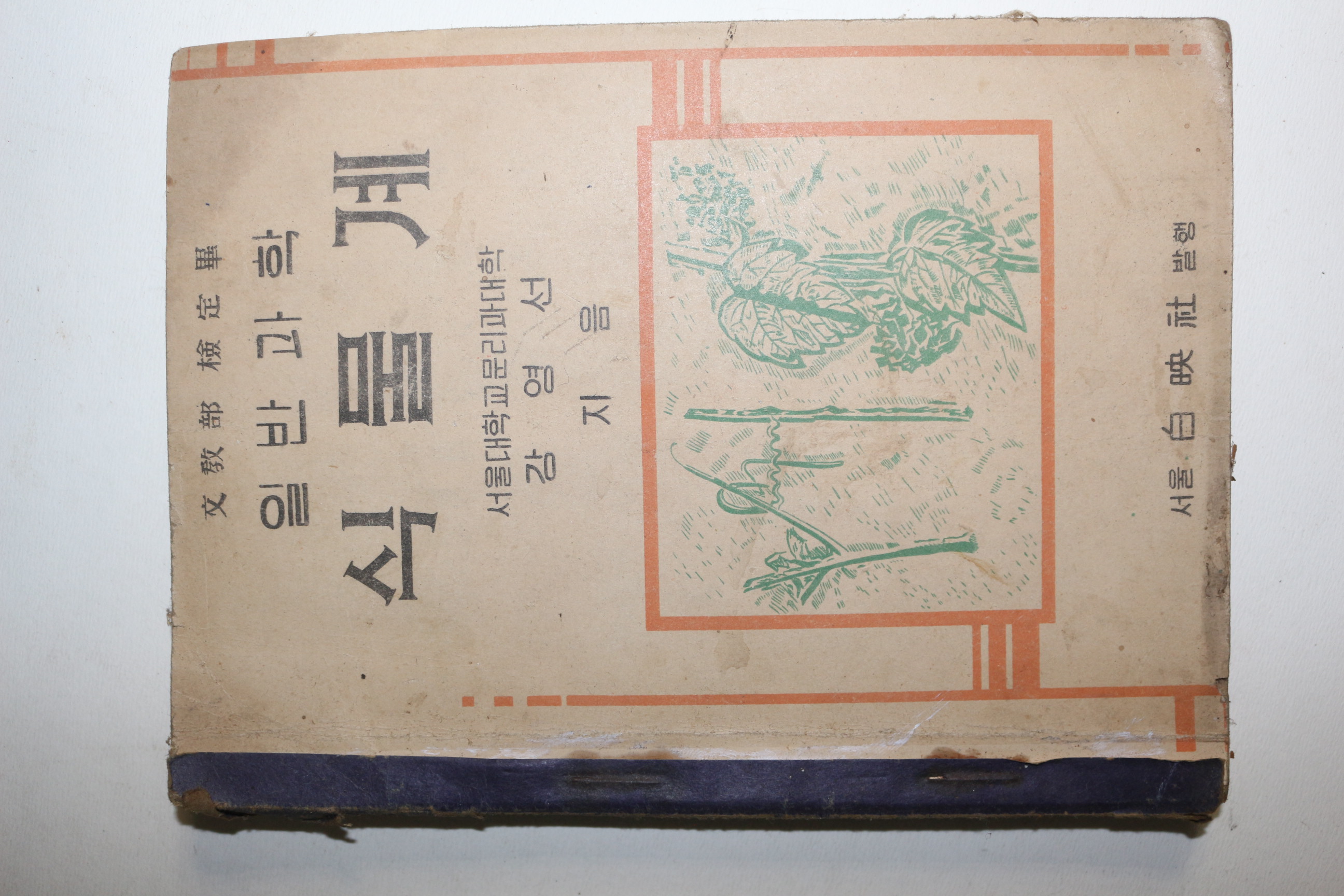 1950년 강영선 일반과학 식물계(참고품)