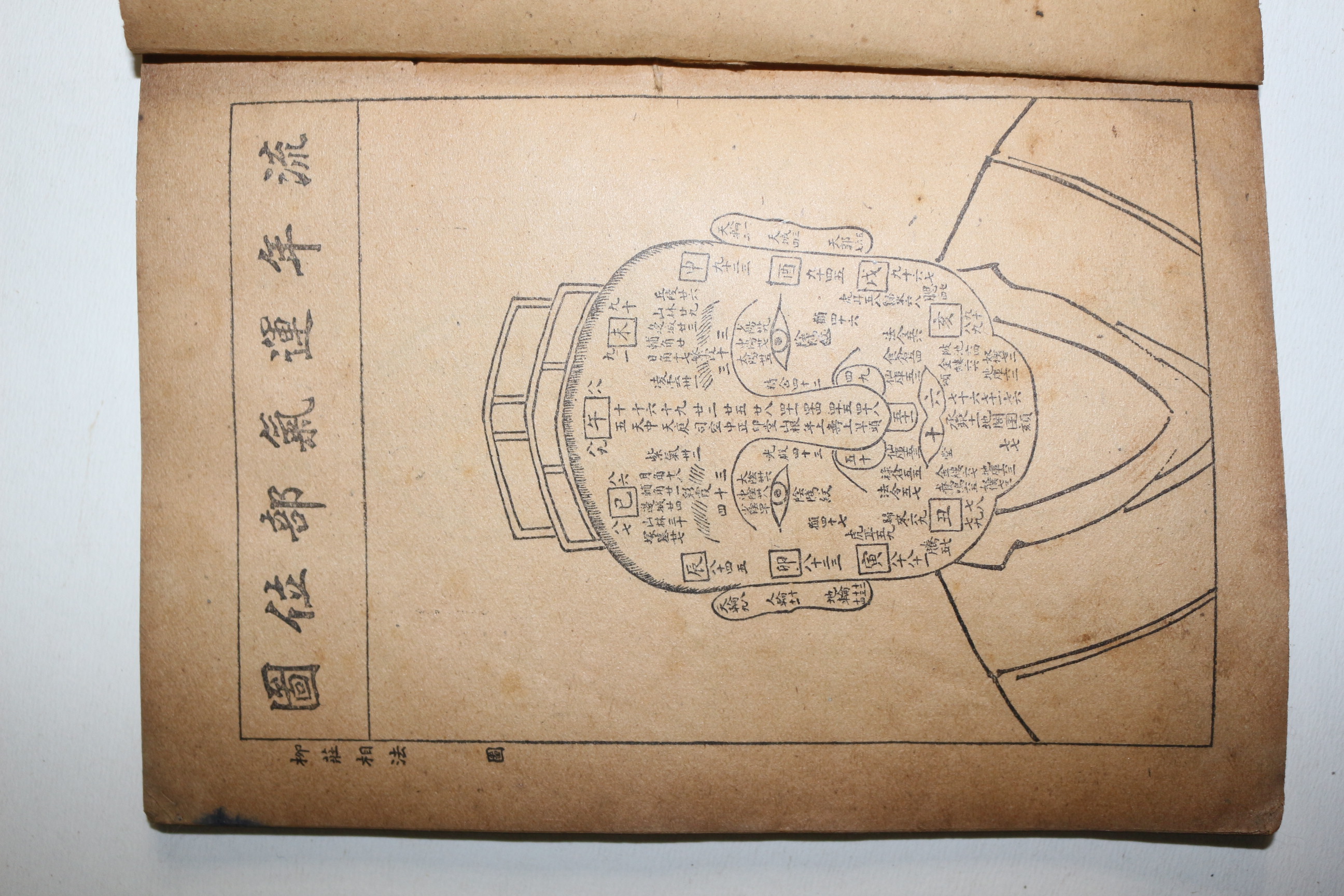 1949년(민국38년) 중국 광익서국간행 교정 유장상법(柳莊相法)