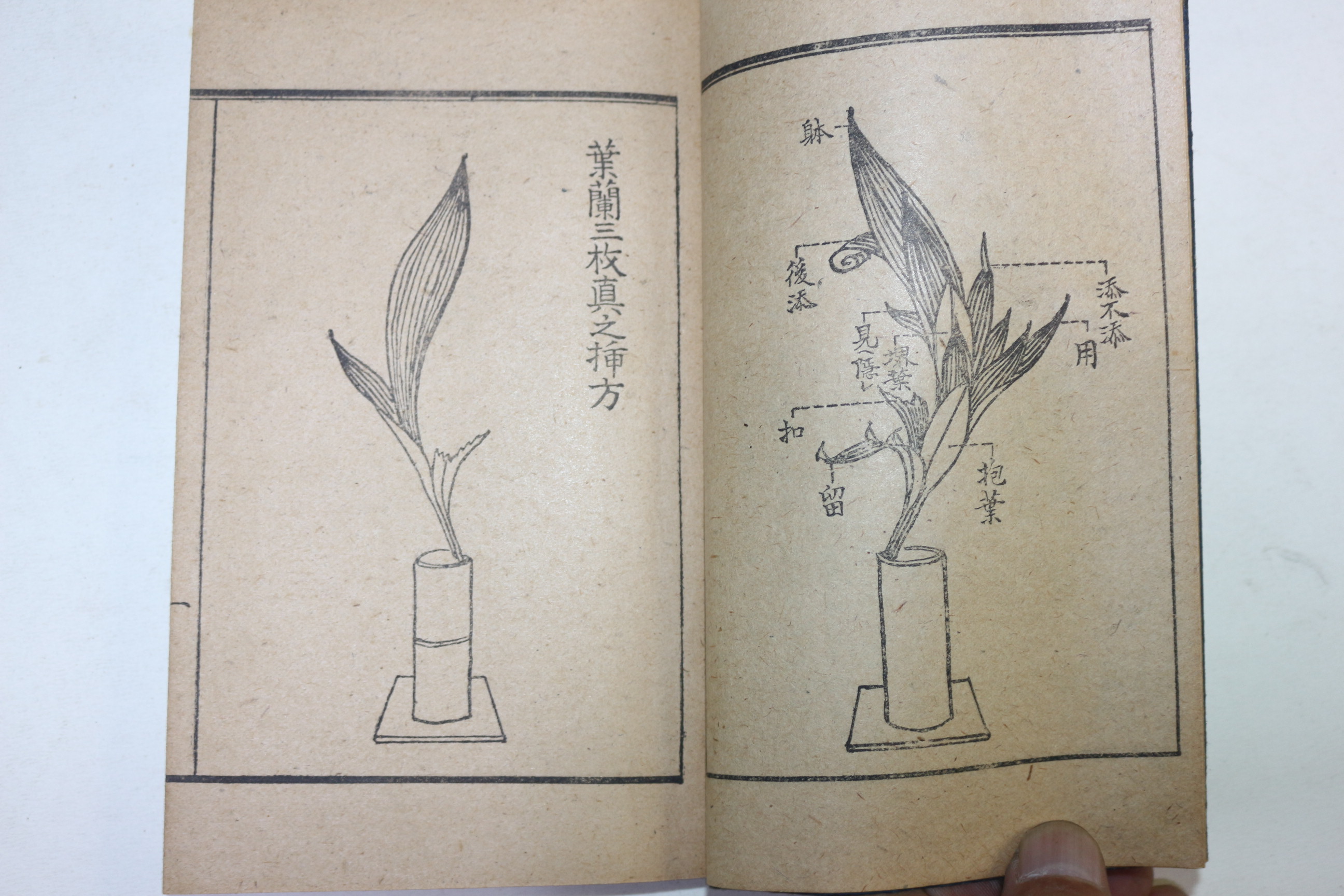 1943년(소화18년) 난 관련 말생유엽난삽방도해(末生流葉蘭揷方圖解) 1책완질