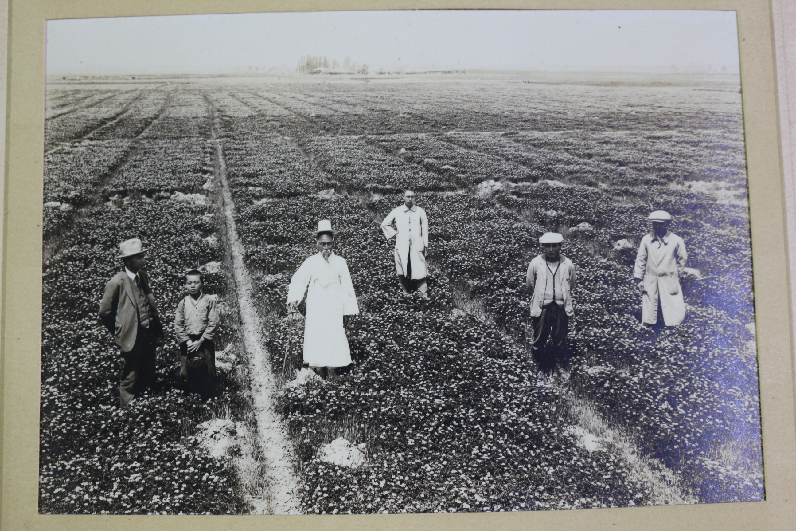 1928년(소화3년) 충남 논산 농장 사진