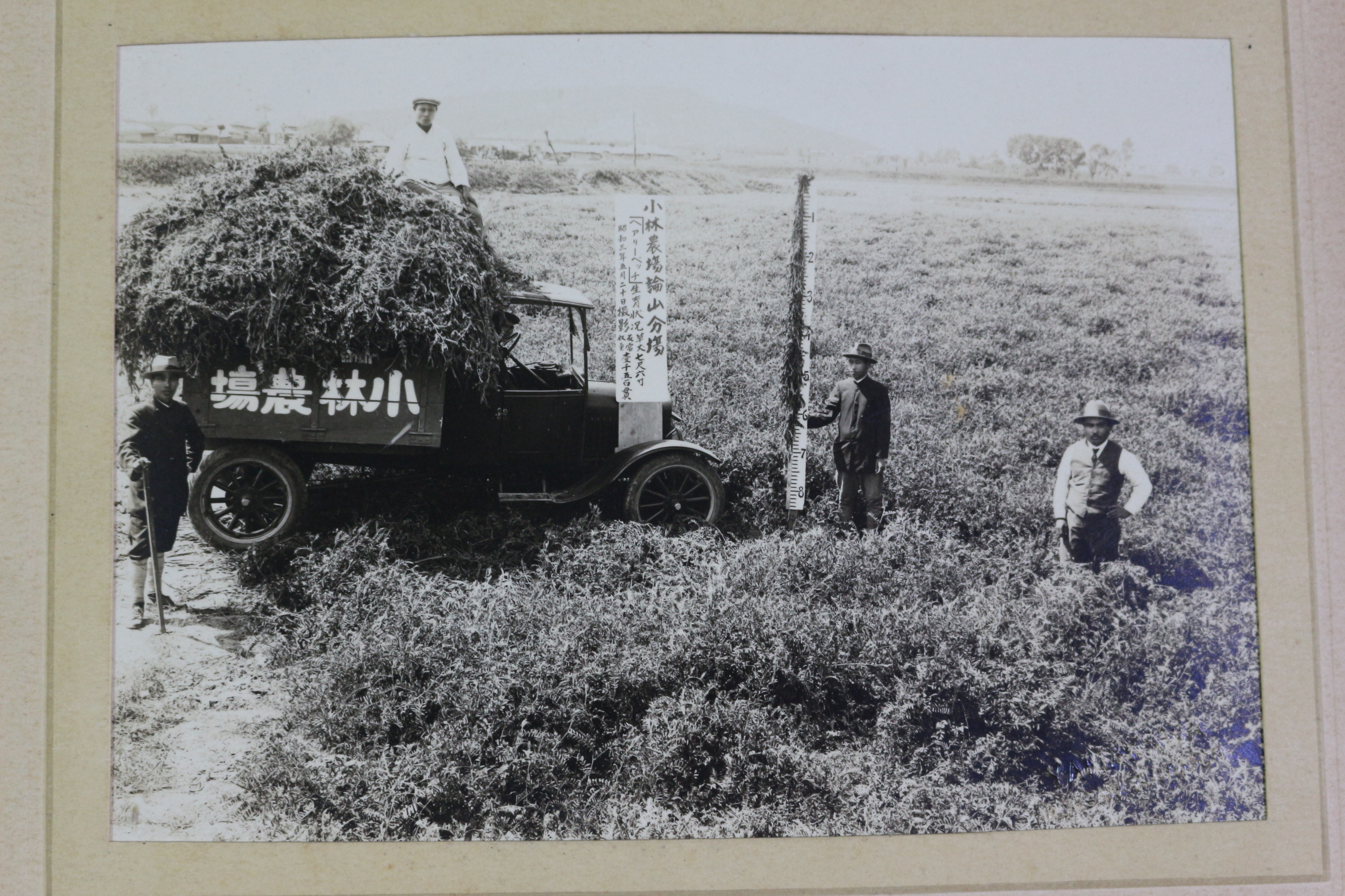 1928년(소화3년) 충남 논산 소림농장(小林農場) 사진