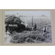 1928년(소화3년) 충남 논산 소림농장(小林農場) 사진