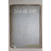 1967년재판 김남조(金南祚) 달과 해 사이