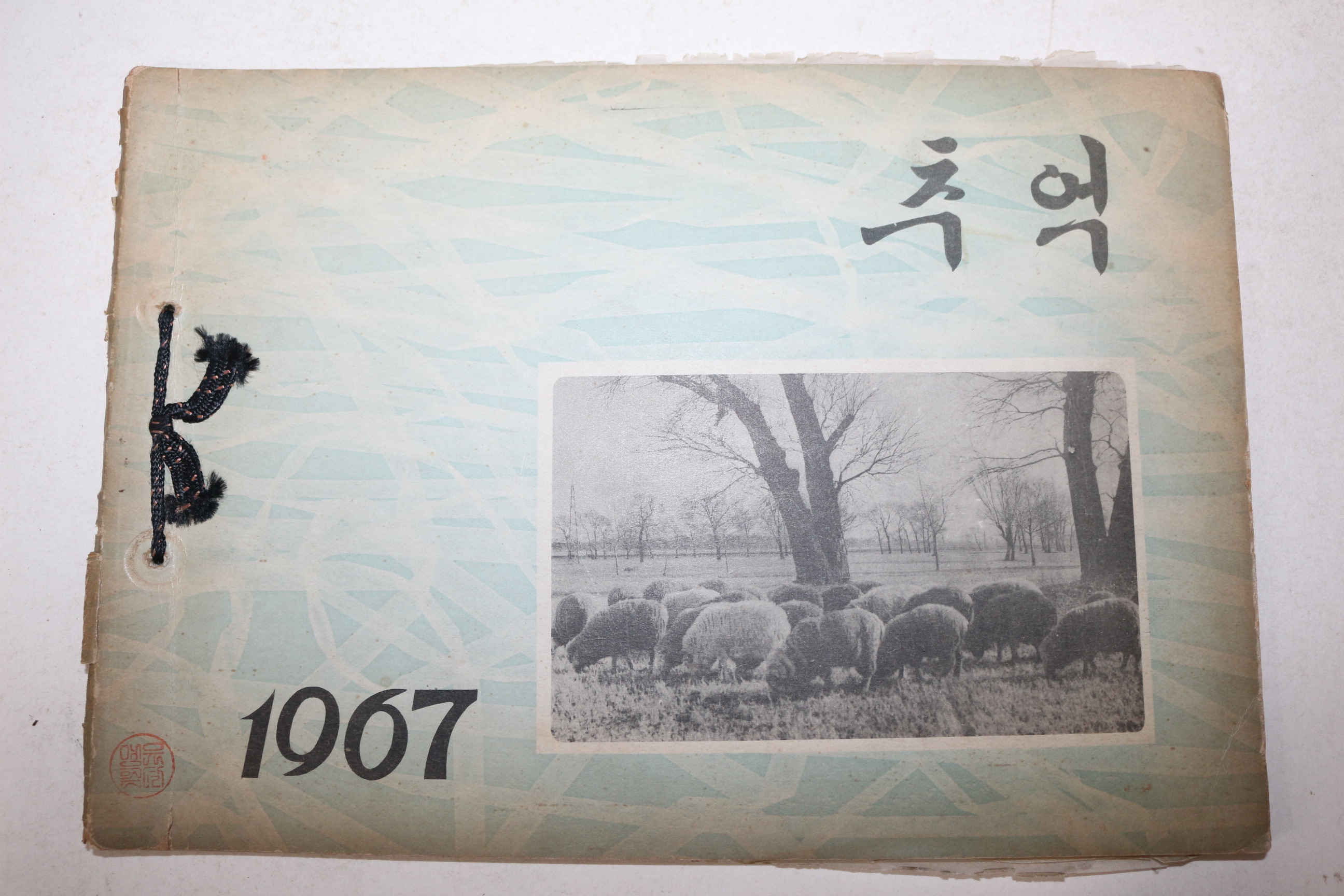 1967년 충남 청양 목면국민학교 제29회 졸업기념 앨범