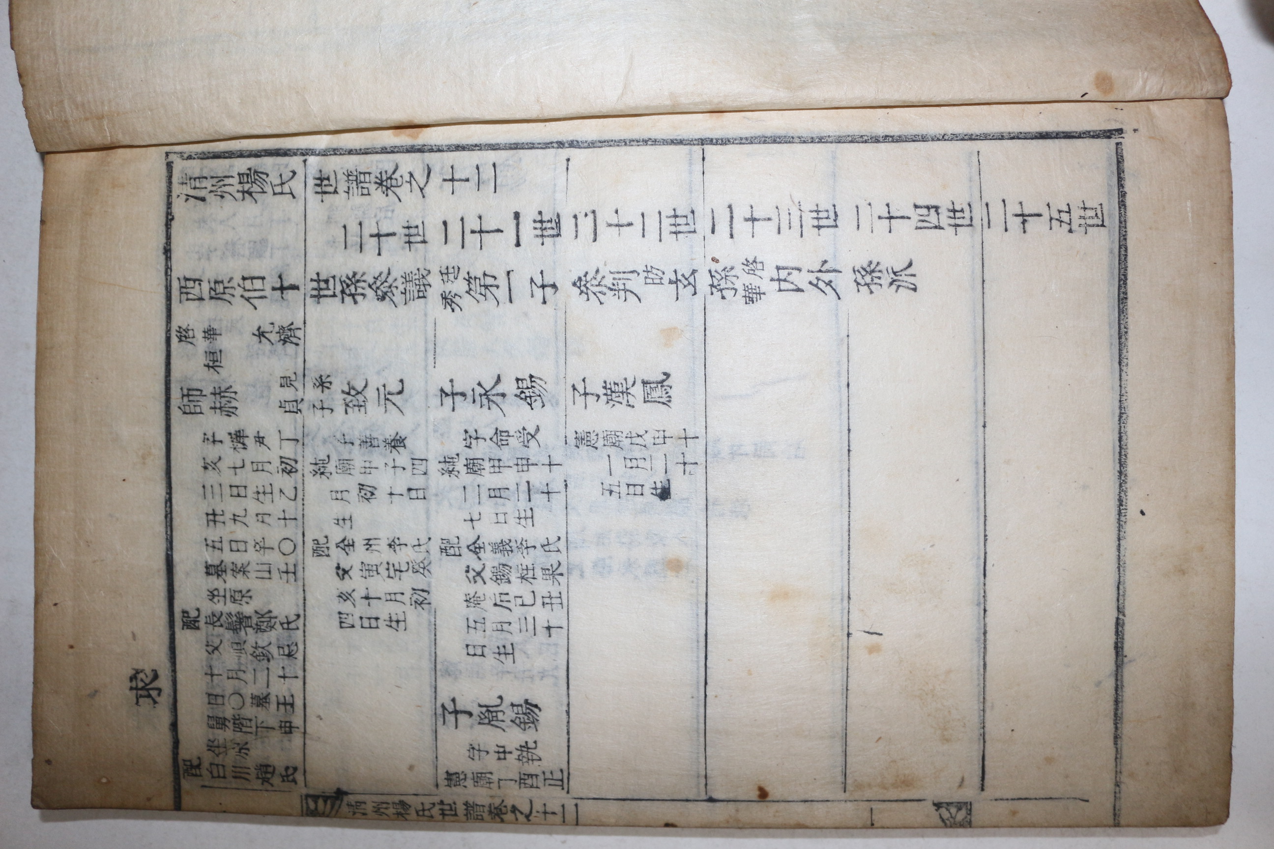 1850년(崇禎紀元後四庚戌仲春魯城酒谷影堂開刊) 목활자본 청주양씨세보(淸州楊氏世譜)권12  1책