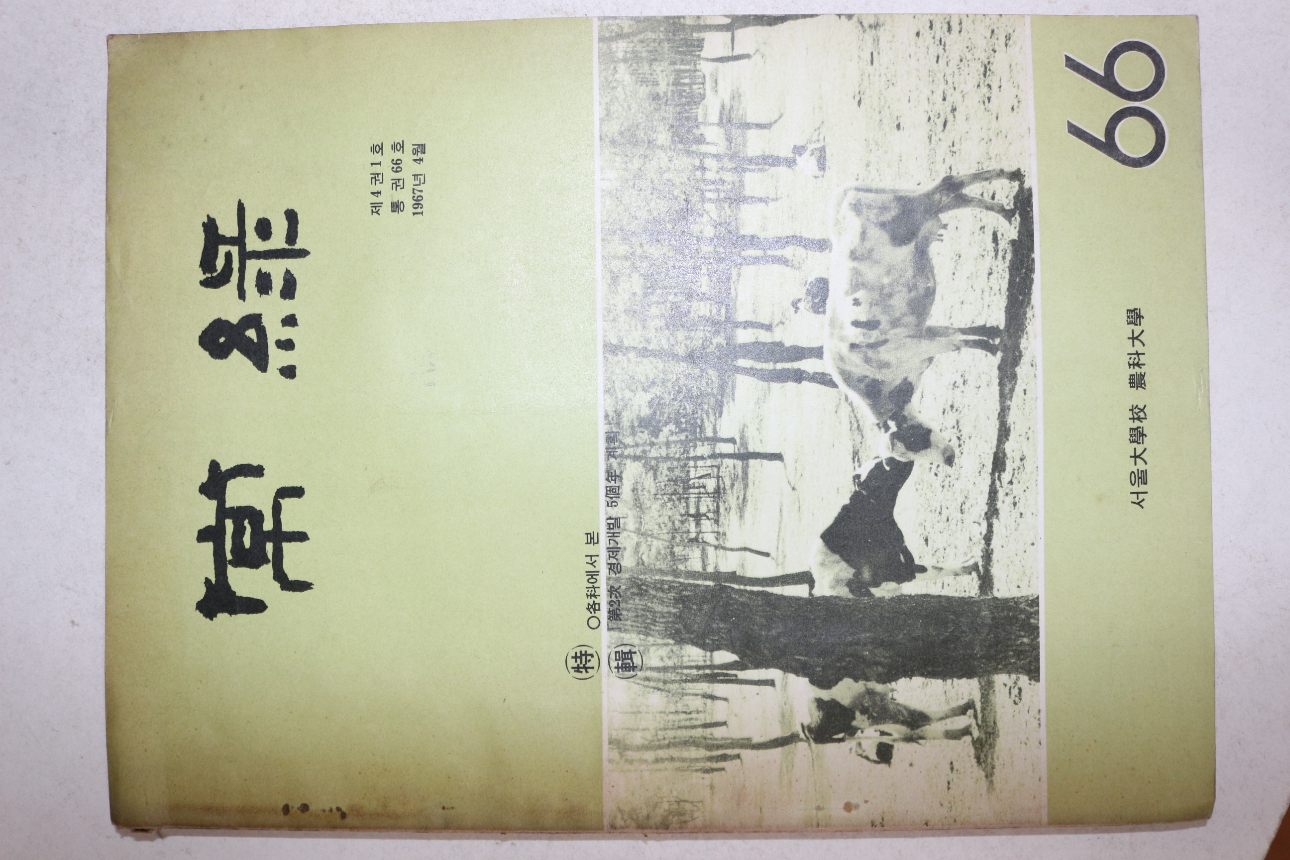 1967년 서울대학교 농과대학 상록 제4권1호