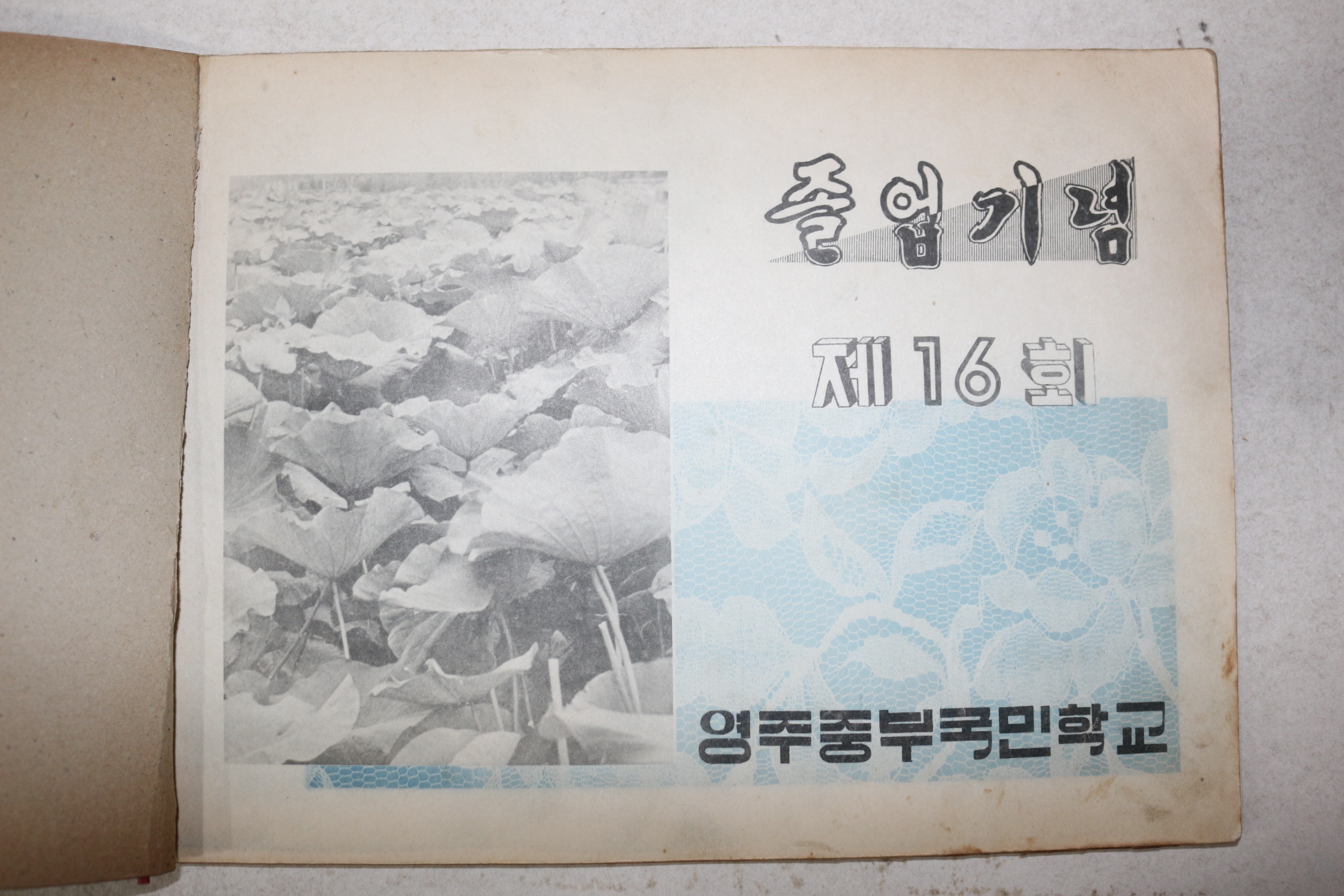 1965년 영주중부국민학교 제16회 졸업기념 앨범