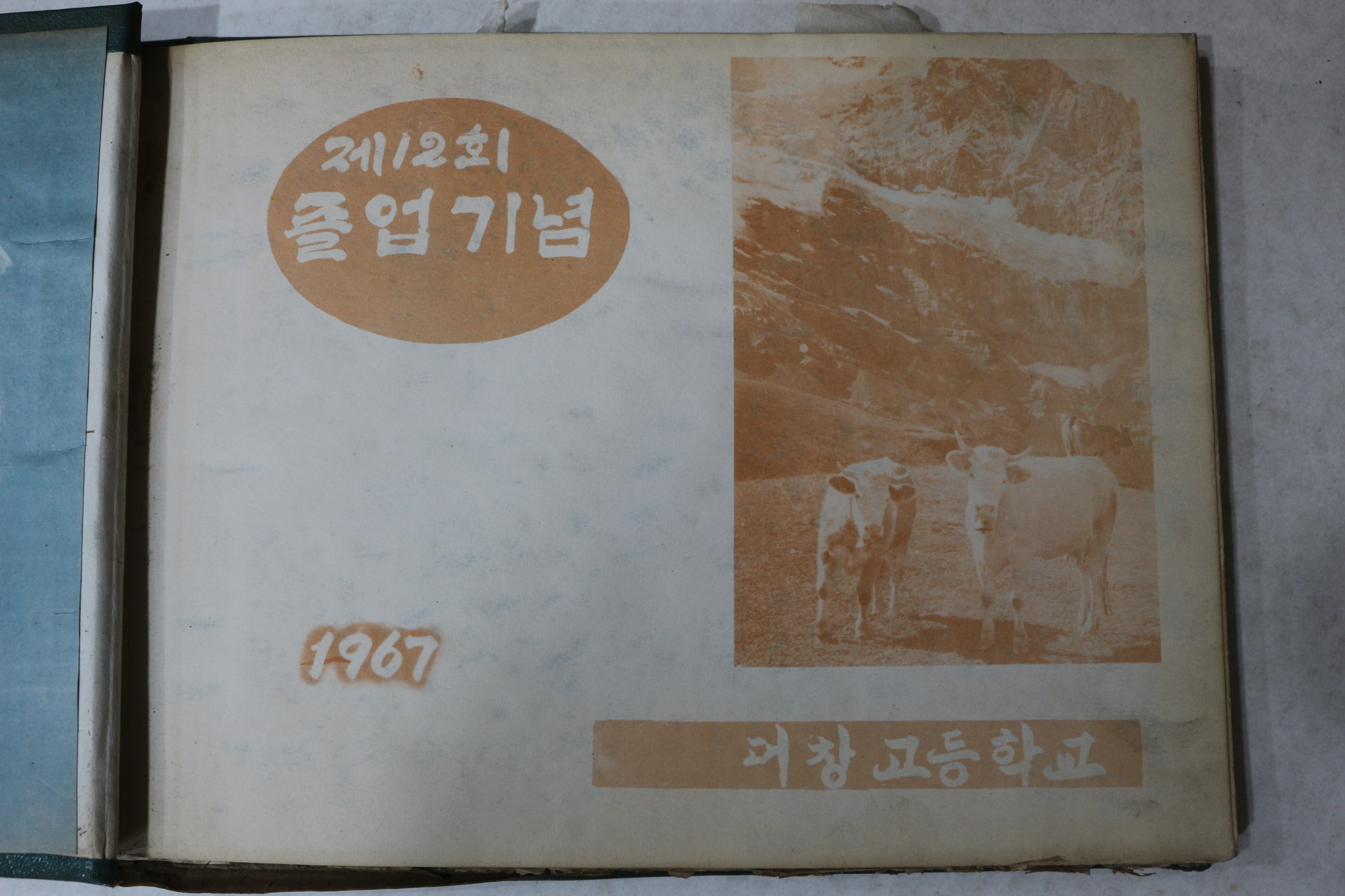 1967년 대창고등학교 제12회 졸업기념 앨범