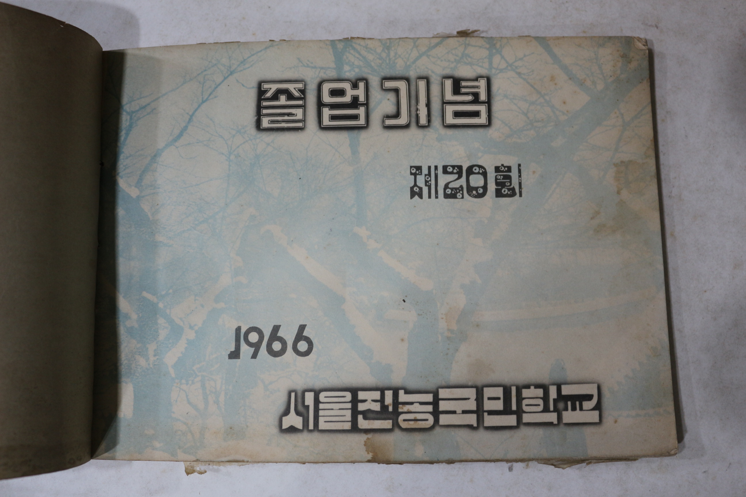 1966년 서울진농국민학교 제20회 졸업기념 앨범